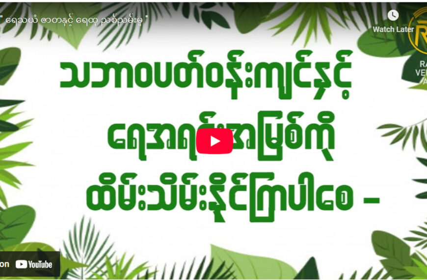 ” ရေသယံ ဇာတနှင့် ရေထု ညစ်ညမ်းမှု ”
