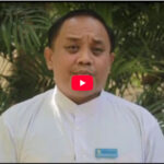 ” သစ်တော မှတ်စု ”