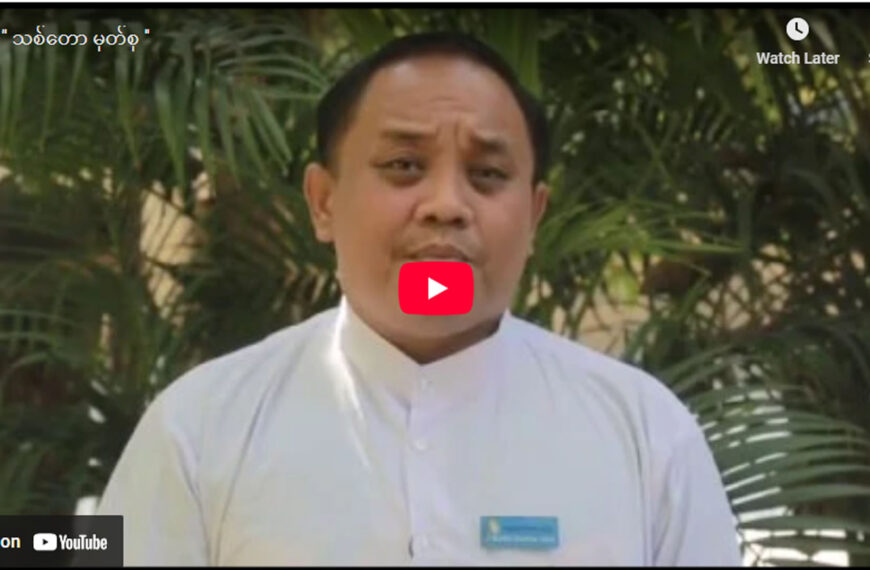 ” သစ်တော မှတ်စု ”