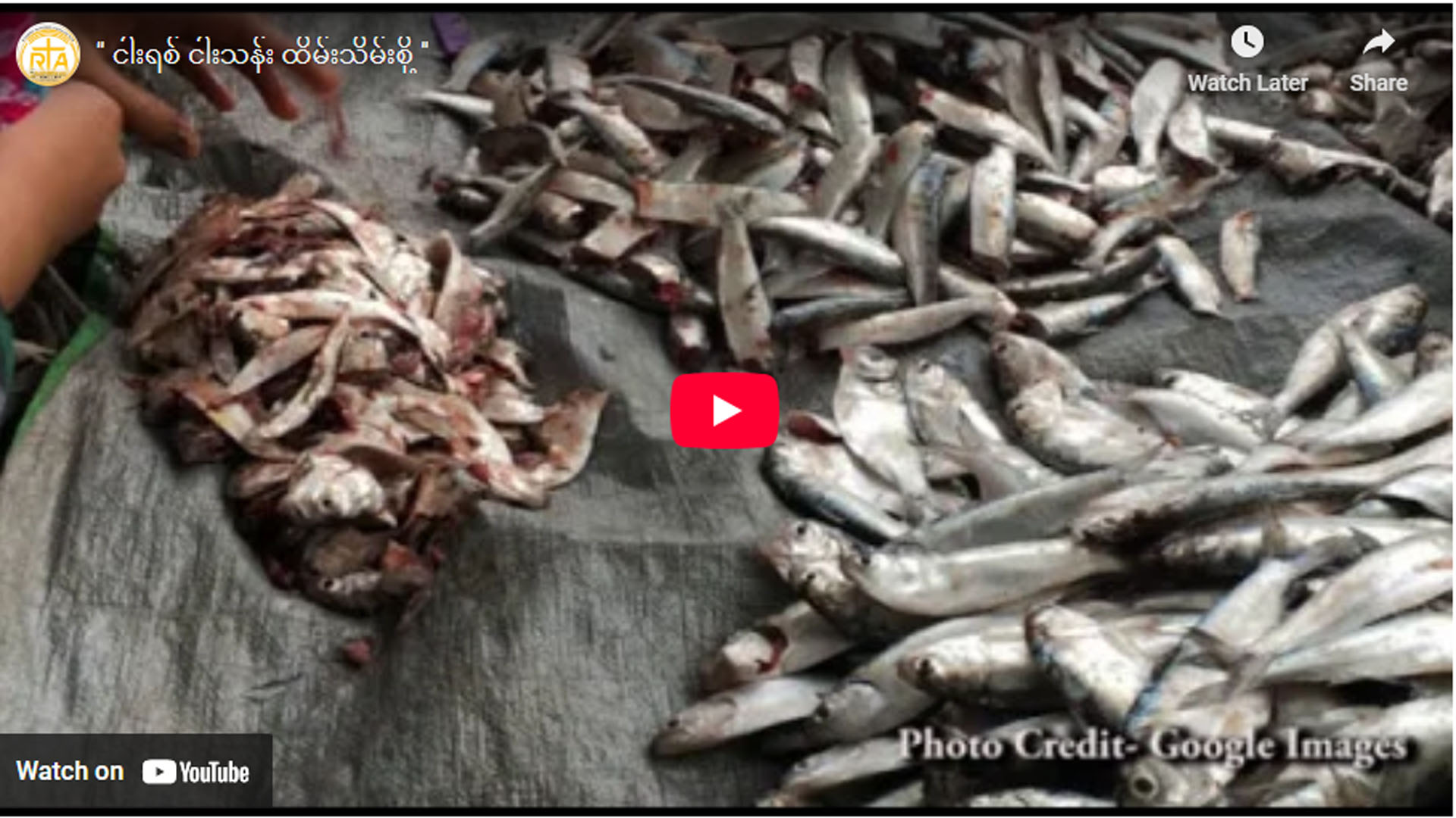 ” ငါးရစ် ငါးသန်း ထိမ်းသိမ်းစို့ ”