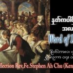 ဖာသာရ် Stephen Ah Chu (ကျိုင်းတုံ) ၃၀ ကြိမ်မြောက်သာမန် စနေနေ့ ဩဝါဒ ၄၊ ၁၁၊ ၂၀၂၃