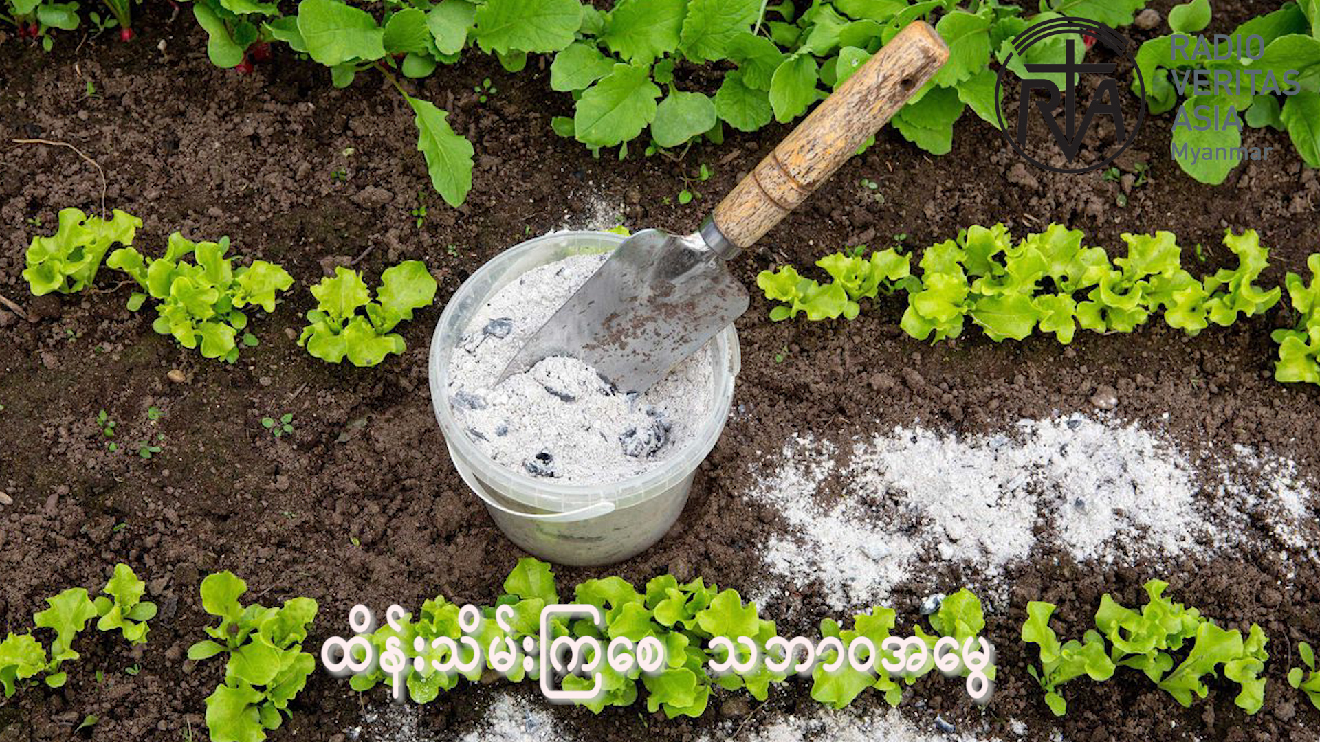 သစ်သားပြာမှာဆိုရင်သတ္တုဓာတ်တွေနဲ့ အာဟာရဓာတ်တွေများစွာပါဝင်ပြီးအကျိုးပြုနိုင်တဲ့ဂုဏ်သတ္တိ
