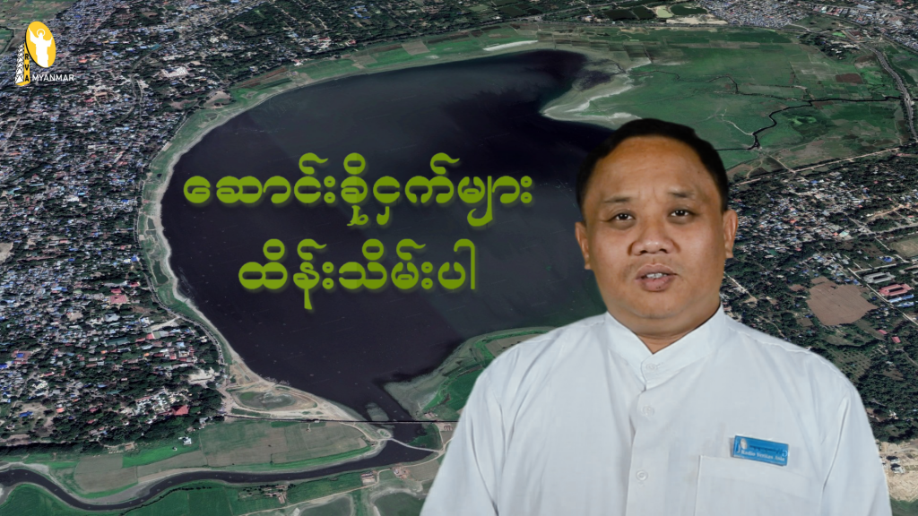 ဆောင်းခိုငှက်များ ထိမ်းသိမ်းပါ