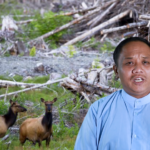 သက်ရှိများနှင့်မျိုးတုံးမှုအန္တရာယ်
