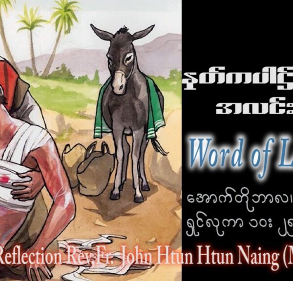 ဖာသာရ် John ထွန်းထွန်းနိုင်(မန္တလေး) ၂၇ ကြိမ်မြောက်သာမန်သီတင်းပတ် တနင်္လာနေ ဩဝါဒ ၉၊ ၁၀၊ ၂၀၂၃