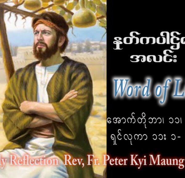 ဖာသာရ် Peter ကြည်မောင် (မန္တလေး) ၂၇ ကြိမ်မြောက်သာမန်သီတင်းပတ် ဗုဒ္ဓဟူးနေ ဩဝါဒ ၁၁၊ ၁၀၊ ၂၀၂၃