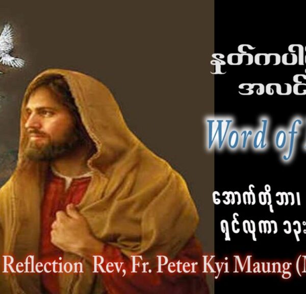 ဖာသာရ် peter ကြည်မောင် (မန္တလေး) ၃၀ ကြိမ်မြောက်သာမန် အင်္ဂါနေ့ ဩဝါဒ ၃၁၊ ၁၀၊ ၂၀၂၃