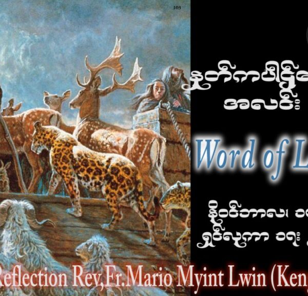 ဖာသာရ် Mario Myint Lwin (ကျိုင်းတုံ) ၃၂ ကြိမ်မြောက်သာမန် သောကြာနေ့ ဩဝါဒ ၁၇၊ ၁၁၊ ၂၀၂၃
