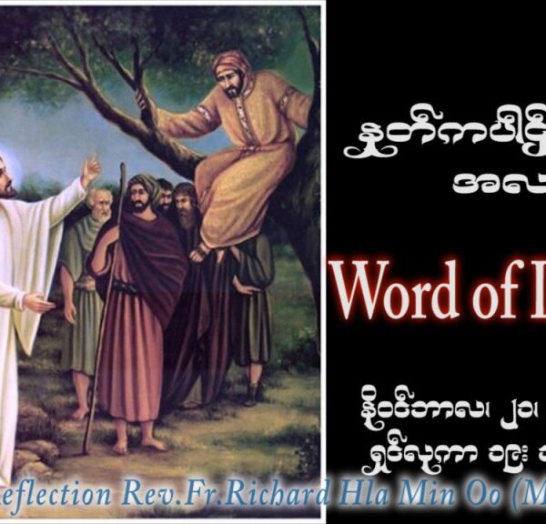 ဖာသာရ် Richard လှမင်းဦး (မန္တလေး)  ၃၃ ကြိမ်မြောက်သာမန် အင်္ဂါနေ့ ဩဝါဒ ၂၁၊ ၁၁၊ ၂၀၂၃