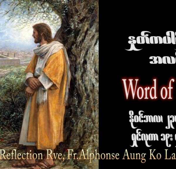 ဖာသာရ် Alphonse အောင်ကိုလတ် (မန္တလေး) ၃၃ ကြိမ်မြောက်သာမန် ကြာသပတေးနေ့ ဩဝါဒ ၂၃၊ ၁၁၊ ၂၀၂၃