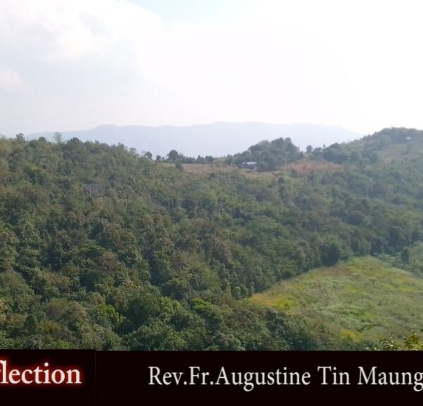 ဖာသာရ် Augustine တင်မောင်ထွန်း (မန္တလေး) ဘုရား၏မယ်တော်ပွဲ တနင်္ဂနွေနေ့ သြဝါဒ ၁၊ ၁၊ ၂၀၂၃