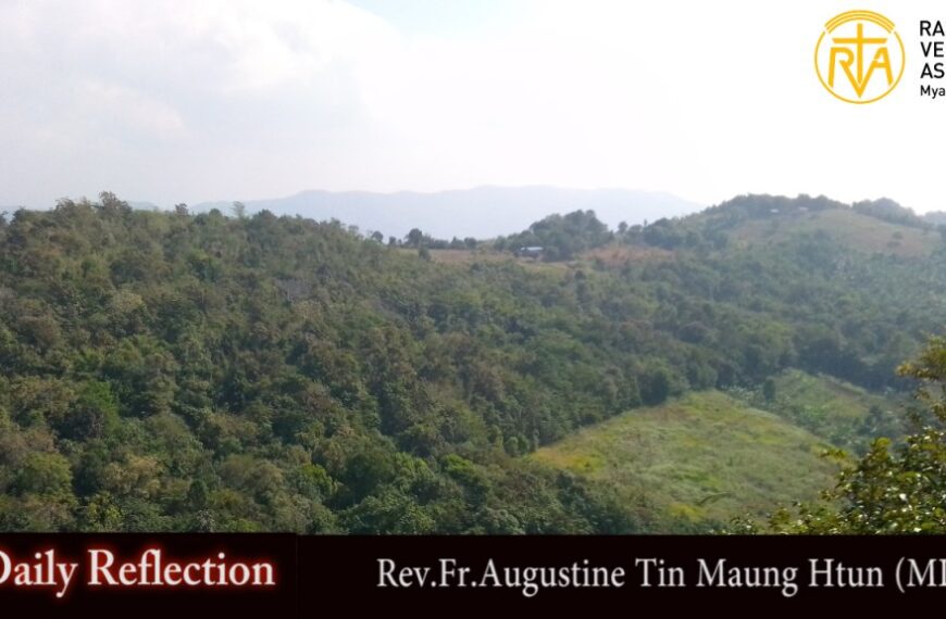 ဖာသာရ် Augustine တင်မောင်ထွန်း (မန္တလေး) ဘုရား၏မယ်တော်ပွဲ တနင်္ဂနွေနေ့ သြဝါဒ ၁၊ ၁၊ ၂၀၂၃