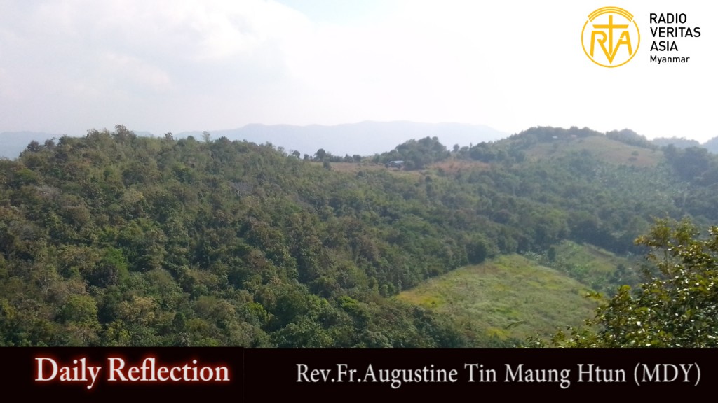 ဖာသာရ် Augustine တင်မောင်ထွန်း (မန္တလေး) ဘုရား၏မယ်တော်ပွဲ တနင်္ဂနွေနေ့ သြဝါဒ ၁၊ ၁၊ ၂၀၂၃