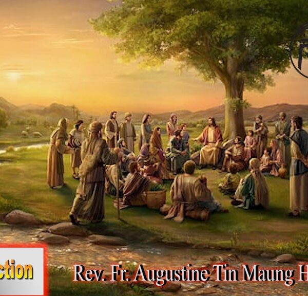 ဖာသာရ် Rev. Fr. Augustine တင်မောင်ထွန်း (မန္တလေး) အလွန်သန့်ရှင်ဖြူစင်တော်မူသောယေဇူး၏ရွှေနှလုံးတော်ပွဲနေ့ကြီး တနင်္ဂနွေနေ့ ဩဝါဒ ၁၈၊ ၆၊ ၂၀၂၃