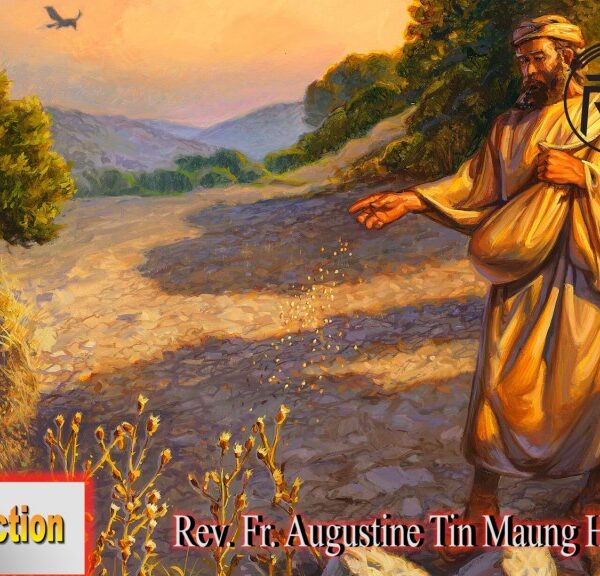 ဖာသာရ် Rev. Fr. Augustine တင်မောင်ထွန်း (မန္တလေး) (၁၅)ကြိမ်မြောက်သာမန်တနင်္ဂနွေနေ့ ဩဝါဒ ၁၆၊ ၇၊ ၂၀၂၃