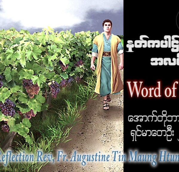 ဖာသာရ် Augustine တင်မောင်ထွန်း (မန္တလေး) ၂၇ ကြိမ်မြောက်သာမန် တနင်္ဂနွေနေ့ ဩဝါဒ ၈၊ ၁၀၊ ၂၀၂၃