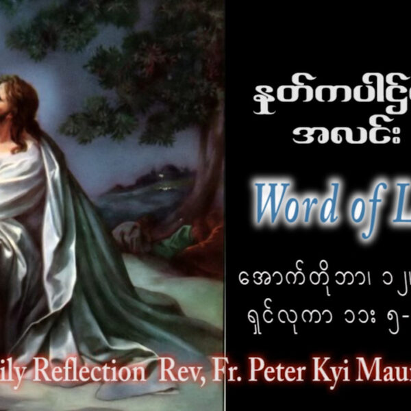 ဖာသာရ် Peter ကြည်မောင် (မန္တလေး) ၂၇ ကြိမ်မြောက်သာမန်သီတင်းပတ် ကြာသပတေးနေ ဩဝါဒ ၁၂၊ ၁၀၊ ၂၀၂၃
