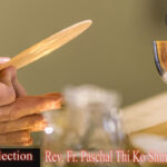 ဖာသာရ် Paschal Thi Ko Shin (SDB)ပါစကားကာလတတိယသီတင်းပတ် စနေနေ့ဩဝါဒ ၁၀၊ ၅၊ ၂၀၂၅