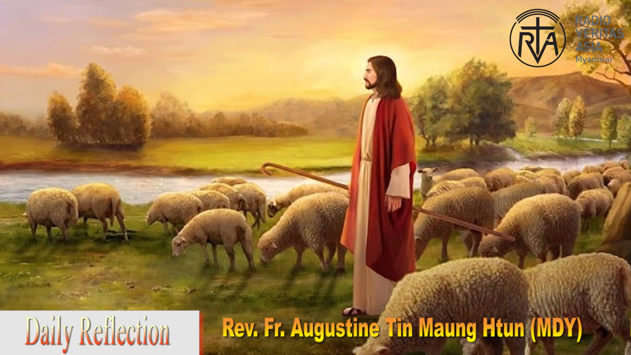 ဖာသာရ် Augustine Tin Maung Htun(မန္တလေးကက်သလစ်ဂိုဏ်းချုပ်သာသနာ) ပါစကားကာလစတုတ္ထသီတင်းပတ် တနင်္ဂနွေနေ့ဩဝါဒ ၁၁၊ ၅၊ ၂၀၂၅