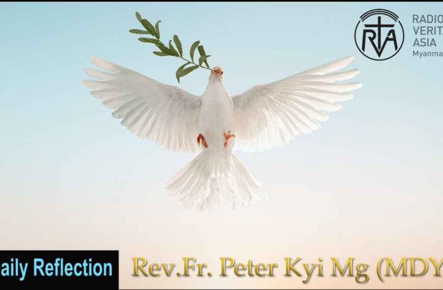 ဖာသာရ် Peter Kyi Mg (မန္တလေးကက်သလစ်ဂိုဏ်းချုပ်သာသနာ) ပါစကားကာလပဥ္စမသီတင်းပတ် အင်္ဂါနေ့ဩဝါဒ ၂၀၊ ၅၊ ၂၀၂၅