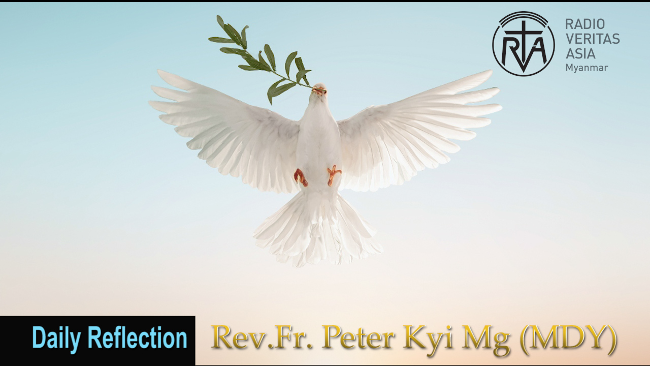 ဖာသာရ် Peter Kyi Mg (မန္တလေးကက်သလစ်ဂိုဏ်းချုပ်သာသနာ) ပါစကားကာလပဥ္စမသီတင်းပတ် အင်္ဂါနေ့ဩဝါဒ ၂၀၊ ၅၊ ၂၀၂၅