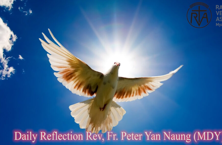 ဖာသာရ် Peter Yan Naung (မန္တလေးကက်သလစ်ဂိုဏ်းချုပ်သာသနာ) ပါစကားကာလဆဌမသီတင်းပတ် ဗုဒ္ဓဟူးနေ့ဩဝါဒ ၂၈၊ ၅၊ ၂၀၂၅
