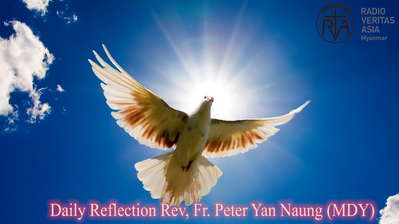ဖာသာရ် Peter Yan Naung (မန္တလေးကက်သလစ်ဂိုဏ်းချုပ်သာသနာ) ပါစကားကာလဆဌမသီတင်းပတ် ဗုဒ္ဓဟူးနေ့ဩဝါဒ ၂၈၊ ၅၊ ၂၀၂၅