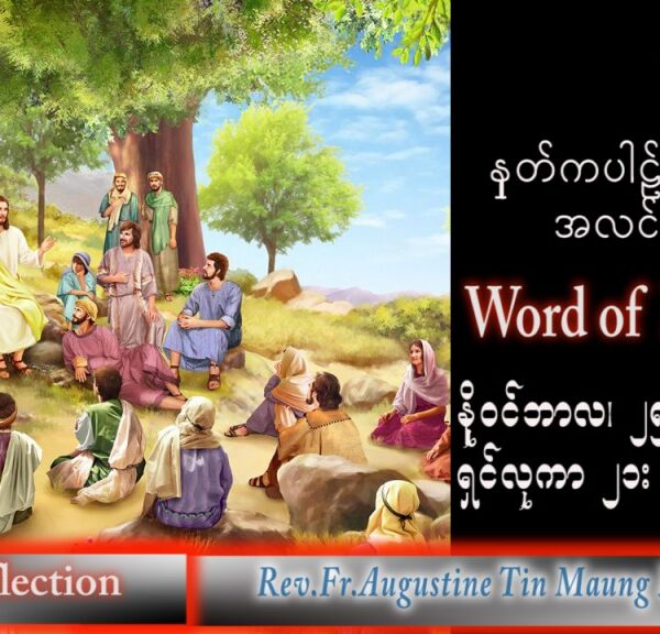 ဖာသာရ် Augustine တင်မောင်ထွန်း (မန္တလေး) သာမန်ကာလ (၃၄) ကြိမ်မြောက် သောကြာနေ့ သြဝါဒ ၂၅၊ ၁၁၊ ၂၀၂၂
