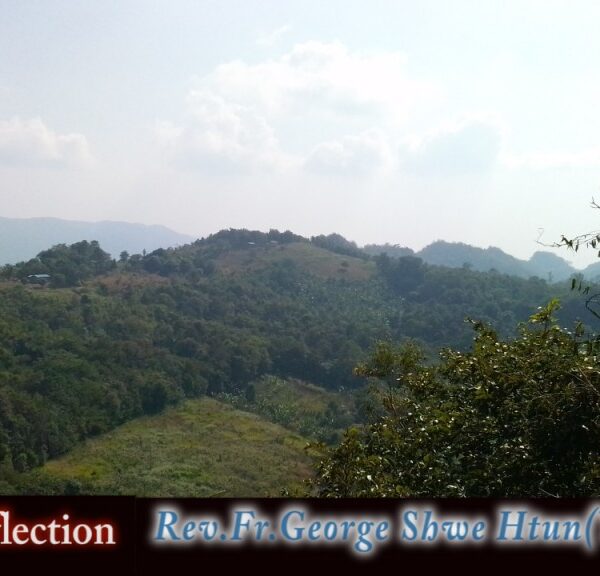 ဖာသာရ် George ရွှေထွန်း(ရန်ကုန်) ခရစ္စမတ်ကာလ တနင်္လာနေ့ ဩဝါဒ ၂၊ ၁၊ ၂၀၂၃