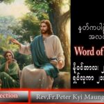 ဖာသာရ် peter ကြည်မောင် (မန္တလေး) သာမန်ကာလ (၃၄) ကြိမ်မြောက် ကြာသပတေးနေ့ သြဝါဒ ၂၄၊ ၁၁၊ ၂၀၂၂