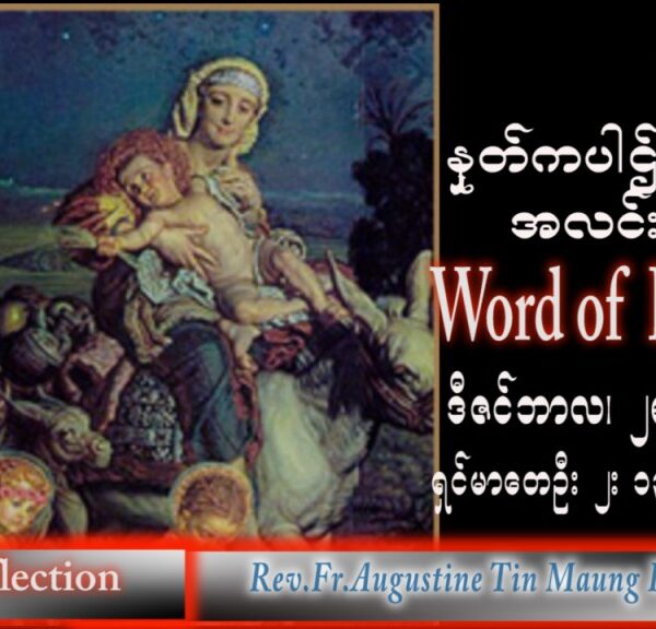 ဖာသာရ် Augustine တင်မောင်ထွန်း (မန္တလေး) ဓမ္မအာဇာနည်ကလေးသူငယ်များပွဲ ဗုဒ္ဓဟူးနေ့ သြဝါဒ ၂၈၊ ၁၂၊ ၂၀၂၂