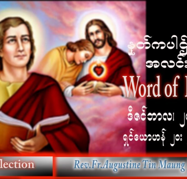 ဖာသာရ် Augustine တင်မောင်ထွန်း (မန္တလေး) တမန်တော်ကြီးရှင်ယောဟန်ပွဲ အင်္ဂါးနေ့ သြဝါဒ ၂၇၊ ၁၂၊ ၂၀၂၂