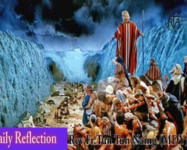 ဖာသာရ် Rev. Fr.John ထွန်းထွန်းနိုင် (မန္တလေး)  (၁၈) ကြိမ်မြောက်သာမန်သီတင်းပတ် တနင်္လာနေ့ ဩဝါဒ ၇၊ ၈၊ ၂၀၂၃