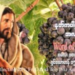 ဖာသာရ် David တိုးဝေအောင် (မန္တလေး) ပါစကားကာလပဥ္စမသီတင်းပတ် ဗုဒ္ဓဟူးနေ့သြဝါဒ ၁၀၊ ၅၊ ၂၀၂၃