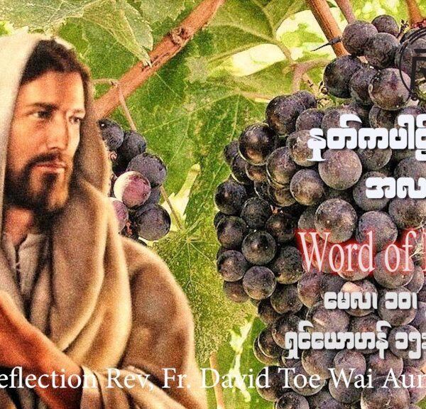 ဖာသာရ် David တိုးဝေအောင် (မန္တလေး) ပါစကားကာလပဥ္စမသီတင်းပတ် ဗုဒ္ဓဟူးနေ့သြဝါဒ ၁၀၊ ၅၊ ၂၀၂၃