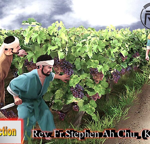 ဖာသာရ် Rev. Fr.Stephen Ah Chu, (Keng Tong) သာမန်ကာလနဝမမြောက်သီတင်းပတ် တနင်္လာနေ့ ဩဝါဒ ၅၊ ၆၊ ၂၀၂၃