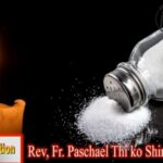 ဖာသာရ်Paschalသီကိုရှင် (SDB) (၁၀)ကြိမ်မြောက်သာမန်သီတင်းပတ်အင်္ဂါနေ့ သြဝါဒ ၁၃၊ ၆၊ ၂၀၂၃