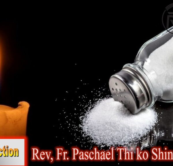 ဖာသာရ်Paschalသီကိုရှင် (SDB) (၁၀)ကြိမ်မြောက်သာမန်သီတင်းပတ်အင်္ဂါနေ့ သြဝါဒ ၁၃၊ ၆၊ ၂၀၂၃