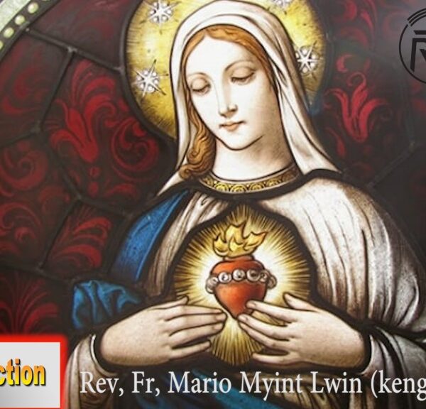 ဖာသာရ် Mario Myint Lwin (ကျိုင်းတုံ) (၁၀)ကြိမ်မြောက်သာမန်သီတင်းပတ် စနေနေ့ သြဝါဒ ၁၇၊ ၆၊ ၂၀၂၃