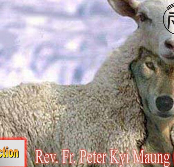 ဖာသာရ် Rev. Fr. Peter ကြည်မောင် (မန္တလေး) (၁၂)ကြိမ်မြောက်သာမန် ဗုဒ္ဓဟူးနေ့ ဩဝါဒ ၂၈၊ ၆၊ ၂၀၂၃