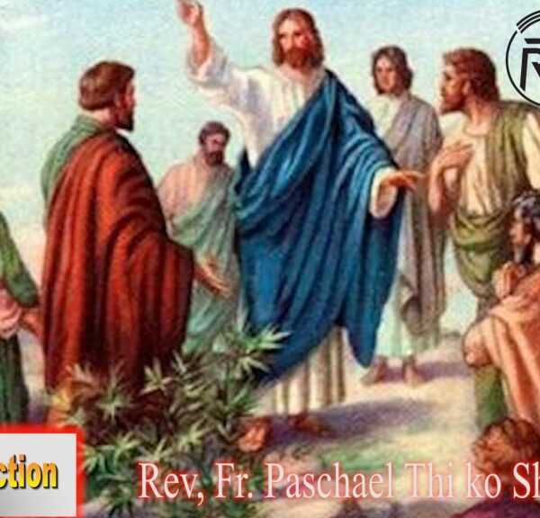ဖာသာရ် Rev.Fr. Paschal သီကိုရှင် (SDB) (၁၄) ကြိမ်မြောက်သာမန်သီတင်းပတ် ကြာသပတေးနေ့ ဩဝါဒ ၁၃၊ ၇၊ ၂၀၂၃