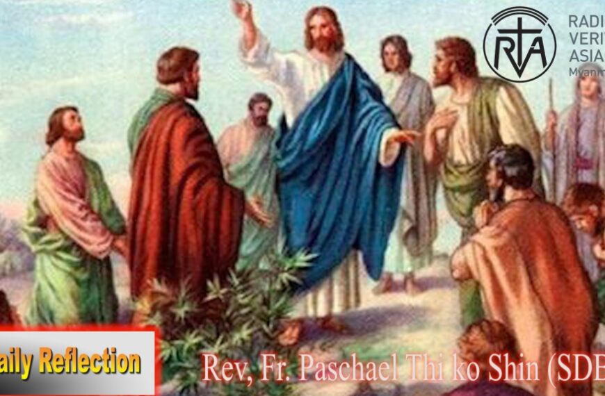 ဖာသာရ် Rev.Fr. Paschal သီကိုရှင် (SDB) (၁၄) ကြိမ်မြောက်သာမန်သီတင်းပတ် ကြာသပတေးနေ့ ဩဝါဒ ၁၃၊ ၇၊ ၂၀၂၃