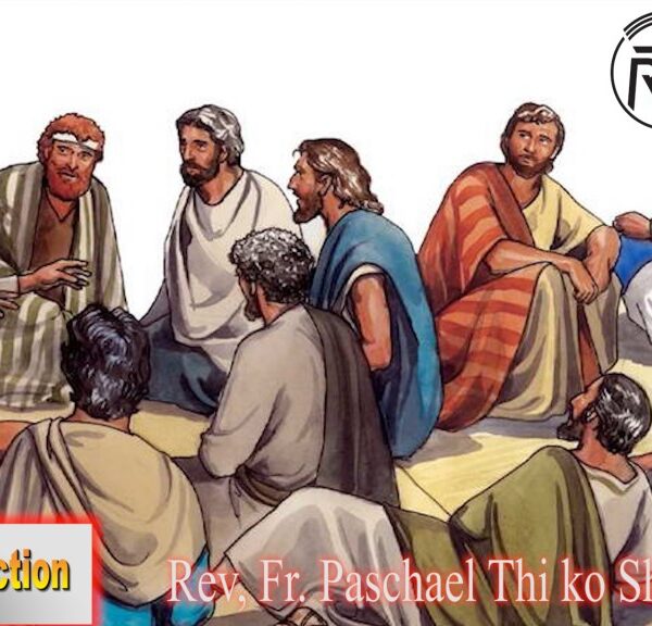 ဖာသာရ် Rev.Fr. Paschal သီကိုရှင် (SDB) (၁၄) ကြိမ်မြောက်သာမန်သီတင်းပတ် သောကြာနေ့ ဩဝါဒ ၁၄၊ ၇၊ ၂၀၂၃