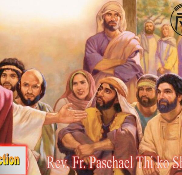 ဖာသာရ် Rev.Fr. Paschael သီကိုရှင် (SDB) (၁၄) ကြိမ်မြောက်သာမန်သီတင်းပတ် စနေနေ့ ဩဝါဒ ၁၅၊ ၇၊ ၂၀၂၃