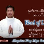 ဖာသာရ် Aloysius နေမျိုးဆွေ (မန္တလေး) သာမန်ကာလ (၂၉) ကြိမ်မြောက် တနင်္လာနေ့ သြဝါဒ ၁၇၊၁၀၊ ၂၀၂၂