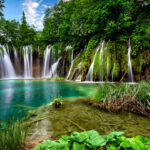 မရိုးသားတဲ့ ကုလားအုပ်ပိုင်ရှင်