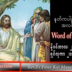 ဖာသာရ် peter ကြည်မောင် (မန္တလေး) သာမန်ကာလ (၃၄) ကြိမ်မြောက် ဗုဒ္ဓဟူးနေ့ သြဝါဒ ၂၃၊ ၁၁၊ ၂၀၂၂