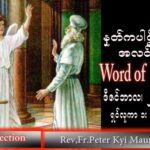 ဖာသာရ် peter ကြည်မောင် (မန္တလေး) အာဒ်ဝင်တူးကာလစတုတ္ထ သောကြာသြဝါဒ ၂၃၊ ၁၂၊ ၂၀၂၂