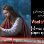 ဖာသာရ် Aloysius နေမျိုးဆွေ (မန္တလေး) သာမန်ကာလ (၃၃) ကြိမ်မြောက် ကြာသပတေးနေ့ သြဝါဒ ၁၇၊ ၁၁၊ ၂၀၂၂