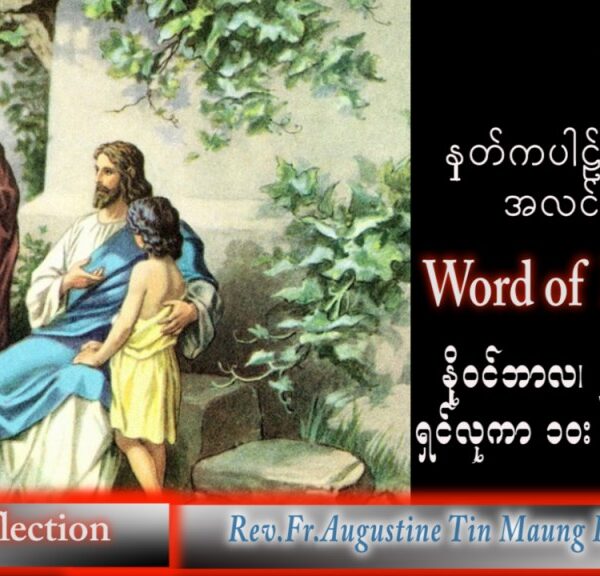 ဖာသာရ် Augustine တင်မောင်ထွန်း (မန္တလေး) အဒ်ဝင်တူးကာလပထမ အင်္ဂါနေ့ သြဝါဒ ၂၉၊ ၁၁၊ ၂၀၂၂